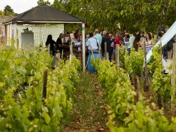Festival Mar de Tethys 2026 - Bodega Vetas